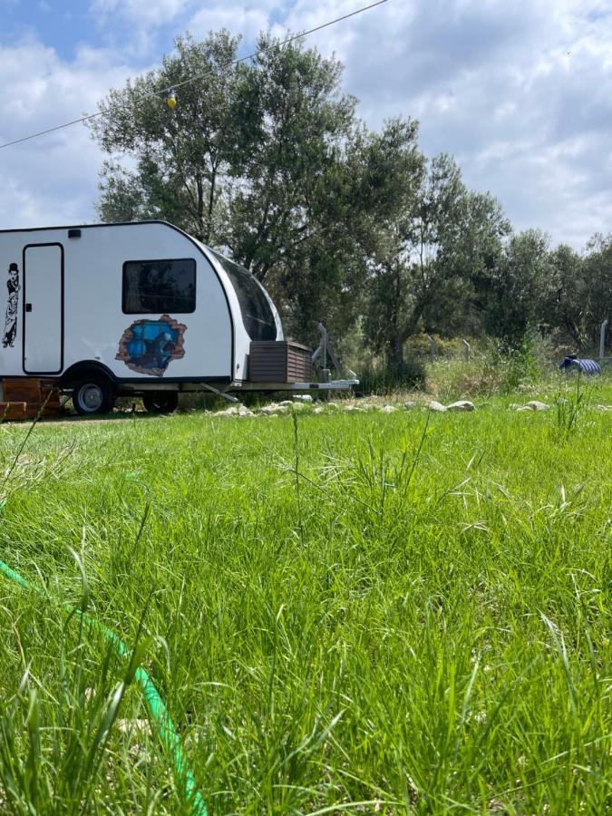 Bademli Caravan Garden Dikili Extérieur photo