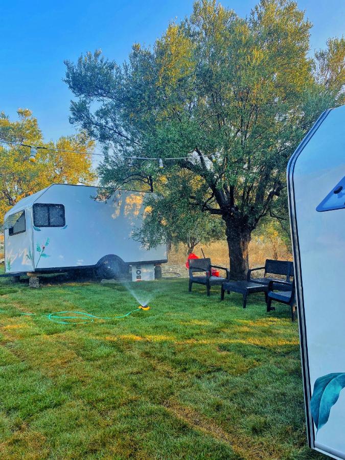 Bademli Caravan Garden Dikili Extérieur photo